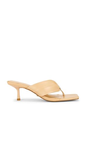 Ivanova Sandal in . Size 6. Also in 7 - RAYE - Modalova