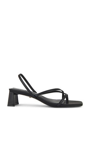 Porter Sandal in . Taglia 5, 6, 7, 8, 9 - RAYE - Modalova