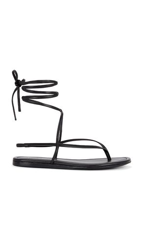 Aditi Sandal in . Taglia 5.5, 6, 6.5, 7, 7.5, 8, 8.5, 9, 9.5 - RAYE - Modalova