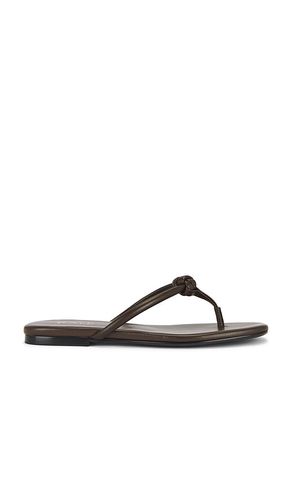 Aarav Sandal in . Taglia 5.5, 6, 6.5, 7, 7.5, 8, 8.5, 9, 9.5 - RAYE - Modalova