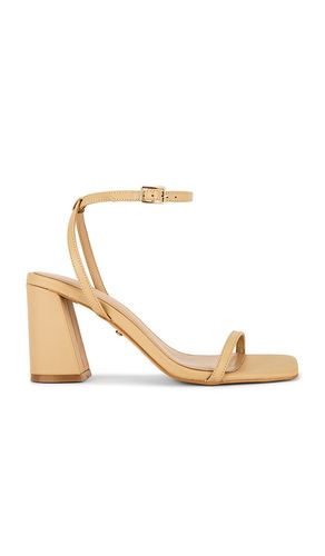Zaza Heel in . Size 7. Also in 8, 9, 10 - RAYE - Modalova