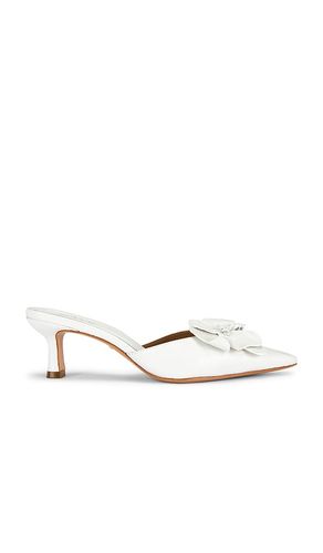 Kennedy Pump in . Size 6.5. Also in 7.5, 8, 8.5, 9, 9.5 - RAYE - Modalova