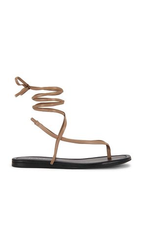 Aditi Sandal in . Size 6. Also in 6.5, 8, 8.5 - RAYE - Modalova