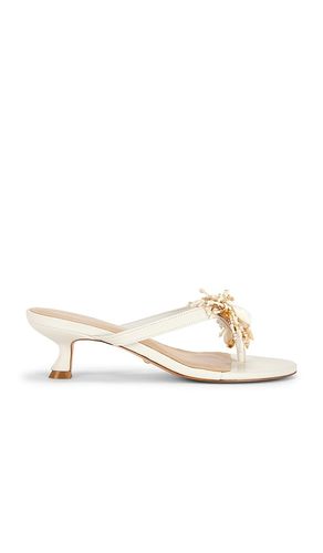 Iman Sandal in . Size 7. Also in 8, 9 - RAYE - Modalova
