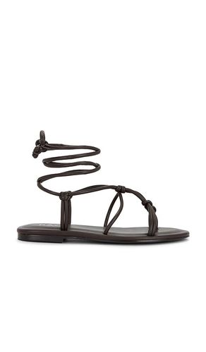 Marah Sandal in . Size 6. Also in 7, 8 - RAYE - Modalova