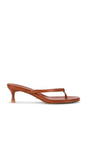 Kimme Sandal in . Size 5.5. Also in 6, 9 - RAYE - Modalova