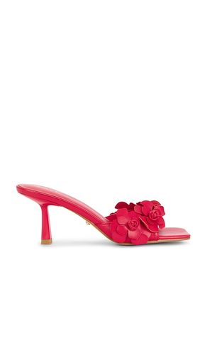 Hana Sandal in . Size 5.5. Also in 7.5 - RAYE - Modalova
