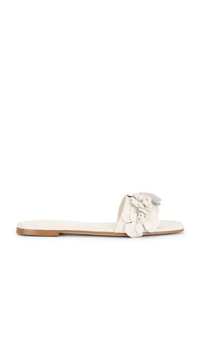 Iris Flat in . Size 5.5. Also in 6, 7, 8, 8.5 - RAYE - Modalova