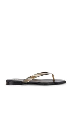 Paloma Flip Flop in . Size 5.5. Also in 6, 7, 8.5 - RAYE - Modalova