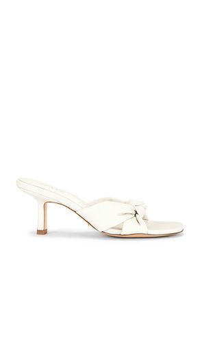 Elia Sandal in . Size 6.5. Also in 7 - RAYE - Modalova