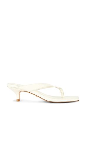 Perla Kitten Heel in . Size 6. Also in 6.5 - RAYE - Modalova