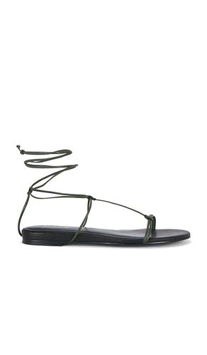 Elisa Sandal in . Size 10. Also in 6, 6.5, 7, 7.5, 8, 8.5, 9, 9.5 - RAYE - Modalova
