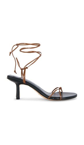 Briela Sandal in . Size 6. Also in 6.5, 7, 7.5, 8, 8.5, 9, 9.5 - RAYE - Modalova