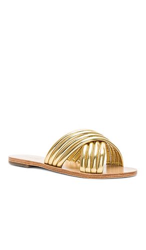 Ziggy Sandal in . Size 5.5. Also in 6.5, 7, 8, 8.5, 9.5 - RAYE - Modalova