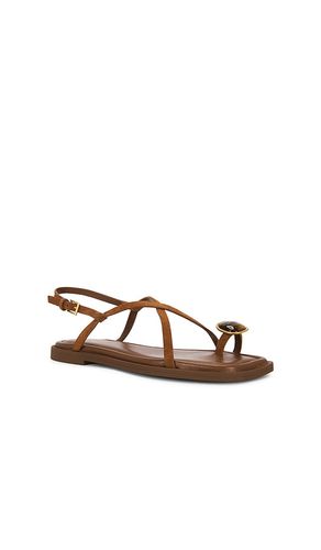 Remi Flat Sandal in . Size 36. Also in 38, 39 - Rag & Bone - Modalova