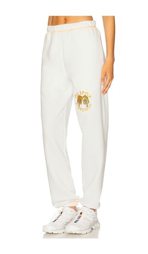 X OLIPOP Orange Cream Sweatpants in . Size L. Also in M - Stay Cool - Modalova
