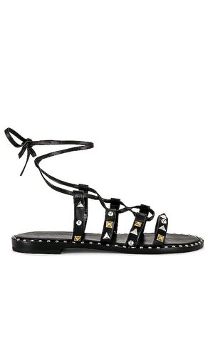 Makeena Sandal in . Size 6, 8.5 - Schutz - Modalova