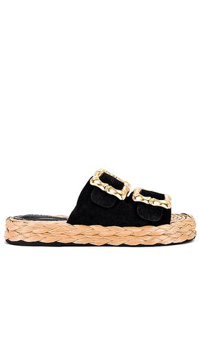 Enola Rope Flat Sandal in . Size 6.5, 7, 7.5, 8, 8.5, 9.5 - Schutz - Modalova