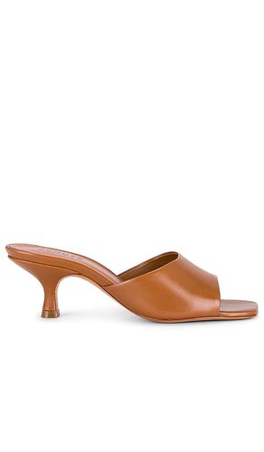 Dethalia Mule in . Size 6.5, 7.5, 8.5 - Schutz - Modalova