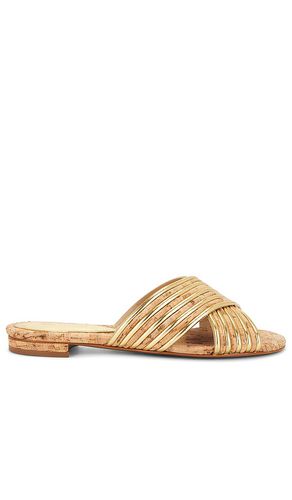 Latifah Flat Sandal in . Size 6.5, 7, 7.5, 8, 8.5, 9, 9.5 - Schutz - Modalova