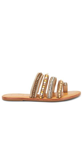 Jodie Sandal in . Size 6, 6.5, 7.5, 8, 9 - Schutz - Modalova