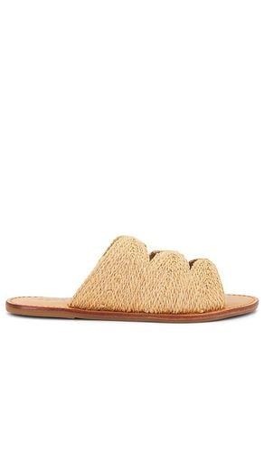 Ivy Sandal in . Size 6.5, 8.5, 9 - Schutz - Modalova