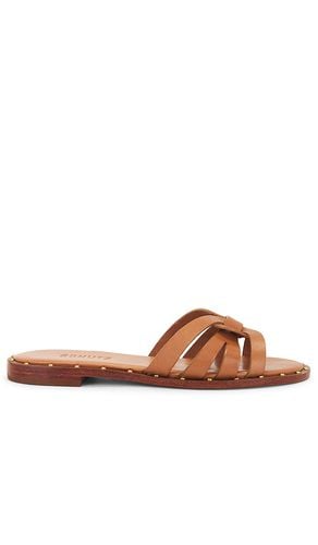 Phoenix Flat Sandal in . Size 6, 6.5, 7, 9.5 - Schutz - Modalova