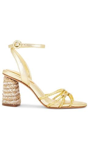 Amara Sandal in . Size 6, 6.5, 8.5, 9.5 - Schutz - Modalova