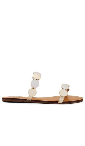 Acacia Sandal in . Taglia 6, 6.5, 8.5 - Schutz - Modalova