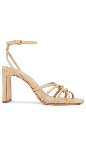 Sandalia rachel high block en color nude talla 10 en - Nude. Talla 10 (también en 6.5, 8, 8.5, 9.5) - Schutz - Modalova