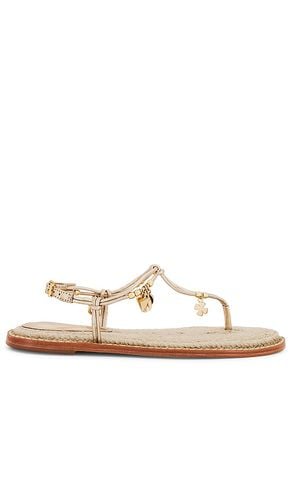 Mitchel Sandal in . Size 6.5, 7, 7.5, 8.5, 9.5 - Schutz - Modalova