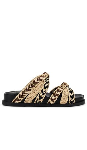 Trassie Sporty Sandal in . Size 6.5, 7.5, 9.5 - Schutz - Modalova