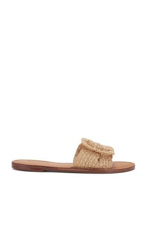 Cinna Flat Sandal in . Size 6, 7.5, 8 - Schutz - Modalova