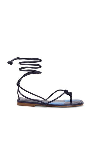 Poppy Flat Sandal in . Size 6, 6.5, 7, 7.5, 8, 8.5, 9, 9.5 - Schutz - Modalova