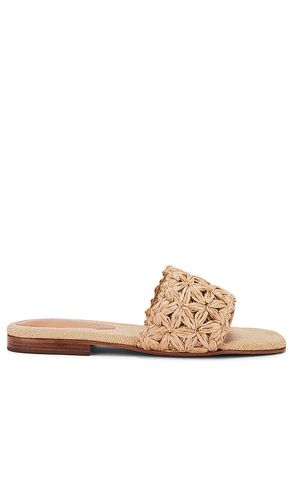 Ayla Straw Sandal in . Size 6, 6.5, 7.5, 8.5, 9.5 - Schutz - Modalova