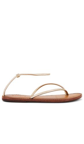 Lottie Sandal in . Size 6, 7, 7.5, 8, 8.5, 9.5 - Schutz - Modalova