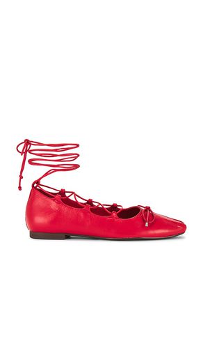 Arissa Lace Up Flat in . Taglia 6, 6.5, 7, 7.5, 8, 8.5, 9, 9.5 - Schutz - Modalova