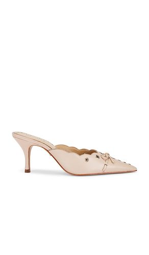 Pantunfla hilly en color beige talla 10 en - Beige. Talla 10 (también en 6.5, 7, 7.5, 8, 8.5, 9.5) - Schutz - Modalova