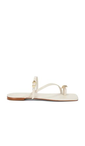 Elysa Flat in . Size 11. Also in 10 - Schutz - Modalova
