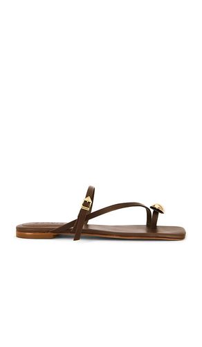 Elysa Flat in . Size 11. Also in 5, 5.5, 8, 9 - Schutz - Modalova