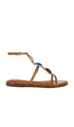 Milos Flat Sandal in . Size 6. Also in 5, 5.5 - Schutz - Modalova