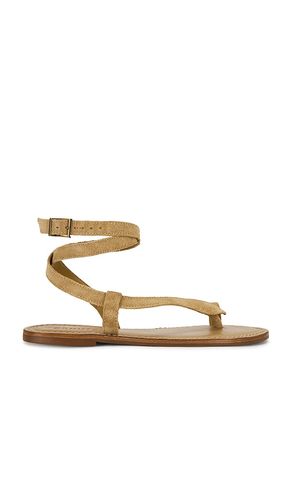 Cleo Flat Sandal in . Size 6. Also in 6.5, 7.5, 8.5, 9.5, 10 - Schutz - Modalova