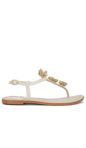 Gigi Flora Sandal in . Size 6, 6.5, 7.5, 8.5, 9 - Sam Edelman - Modalova