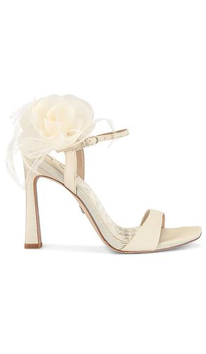 Leana 2 Sandal in . Size 6, 6.5, 7, 7.5, 8, 8.5, 9, 9.5 - Sam Edelman - Modalova