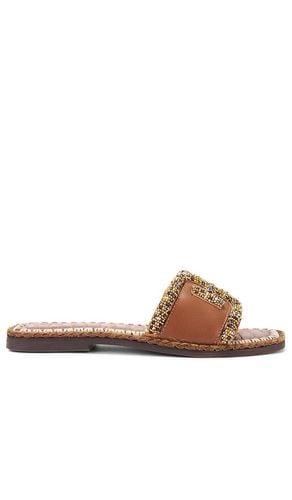 Fitz Sandal in . Size 6.5, 7, 7.5, 8, 8.5, 9.5 - Sam Edelman - Modalova