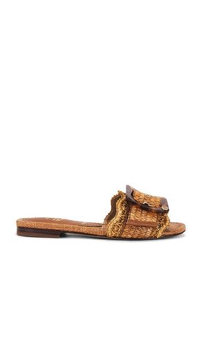 Bambi Sandal in . Taglia 6, 6.5, 7, 7.5, 8, 8.5, 9, 9.5 - Sam Edelman - Modalova