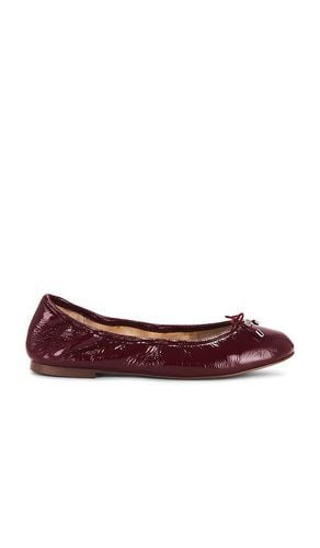 Zapato plano felicia en color burgundy talla 10 en - Burgundy. Talla 10 (también en 6, 6.5, 7, 8, 8.5, 9.5) - Sam Edelman - Modalova