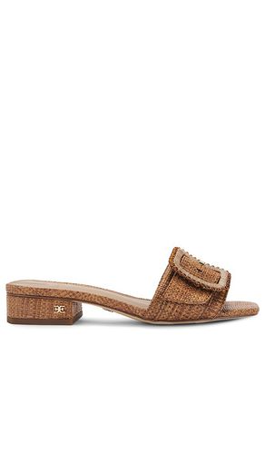 Deacon Bead Sandal in . Size 6, 6.5, 7.5, 8, 8.5, 9.5 - Sam Edelman - Modalova