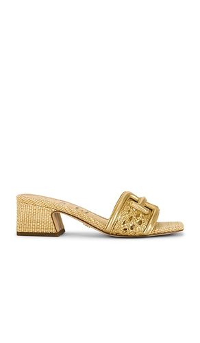 Waylon Weave Sandal in . Size 6. Also in 6.5, 7, 7.5, 8, 8.5, 10 - Sam Edelman - Modalova