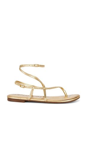Clarra Sandal in . Taglia 6. Also in 6.5, 7, 7.5, 8.5, 9.5 - Sam Edelman - Modalova